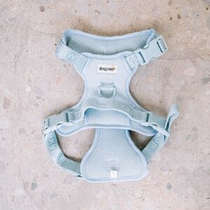 DexyPaws Sky Blue No-Pull Dog Harness - Size L